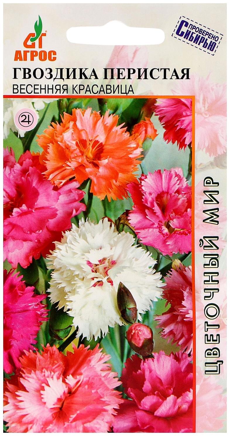 Семена Гвоздика Перистая Весенняя красавица 0.1г*