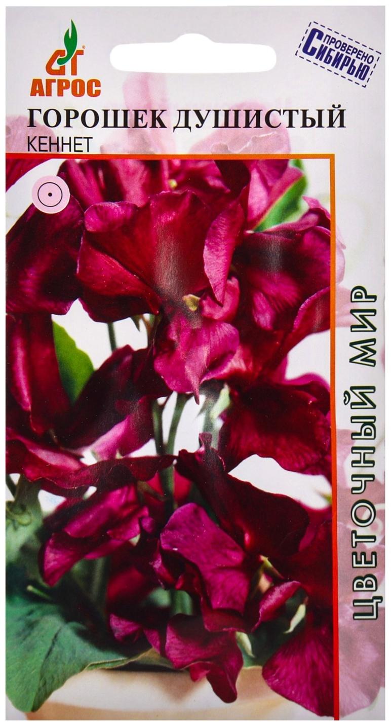 Семена Горошек душистый Кеннет 1г*