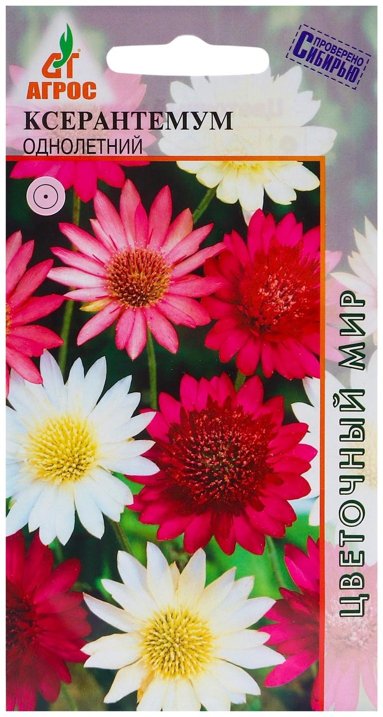 Семена Ксерантемум однолетний 0.1г*