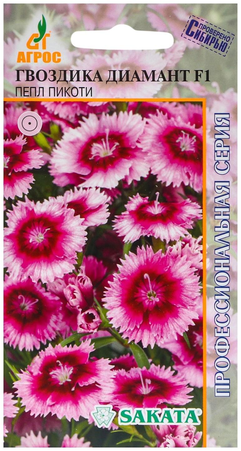Семена Гвоздика Диамант F1 Пёпл Пикоти 10шт*