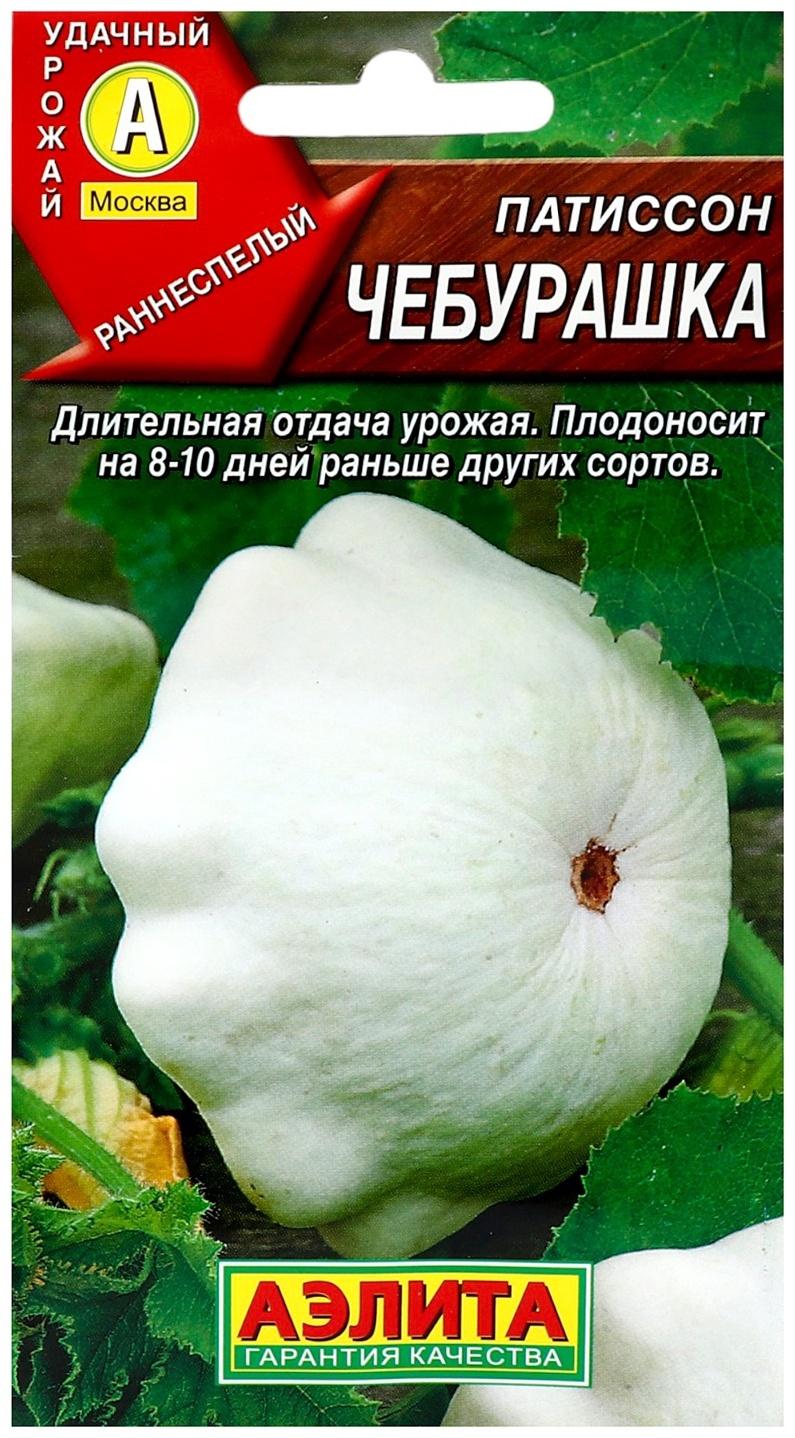 Семена Патиссон 