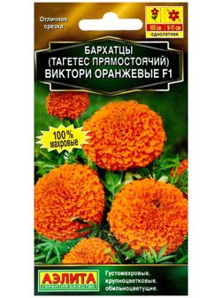 Семена цветов Бархатцы 