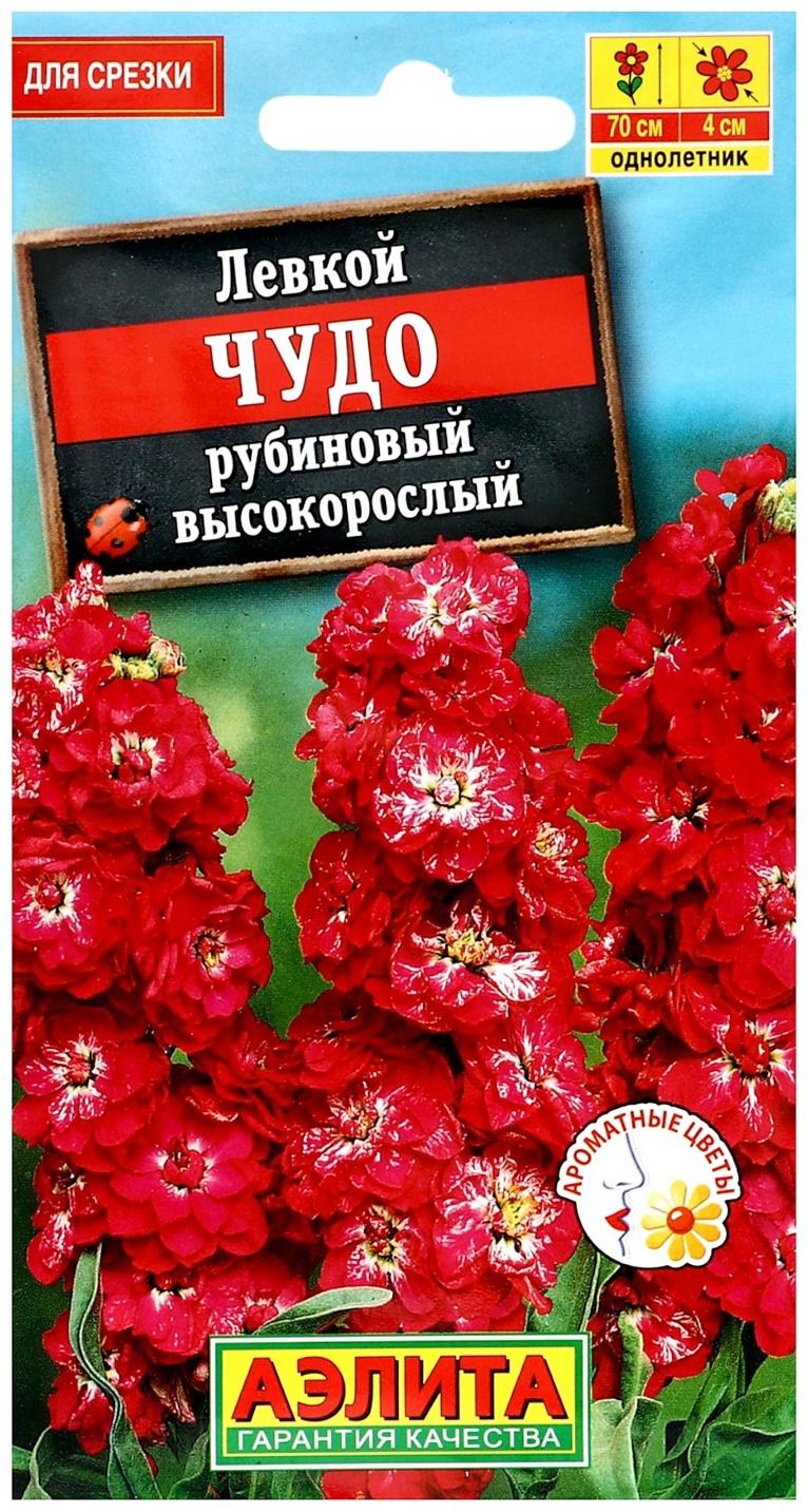 Семена цветов Левкой высокорослый 