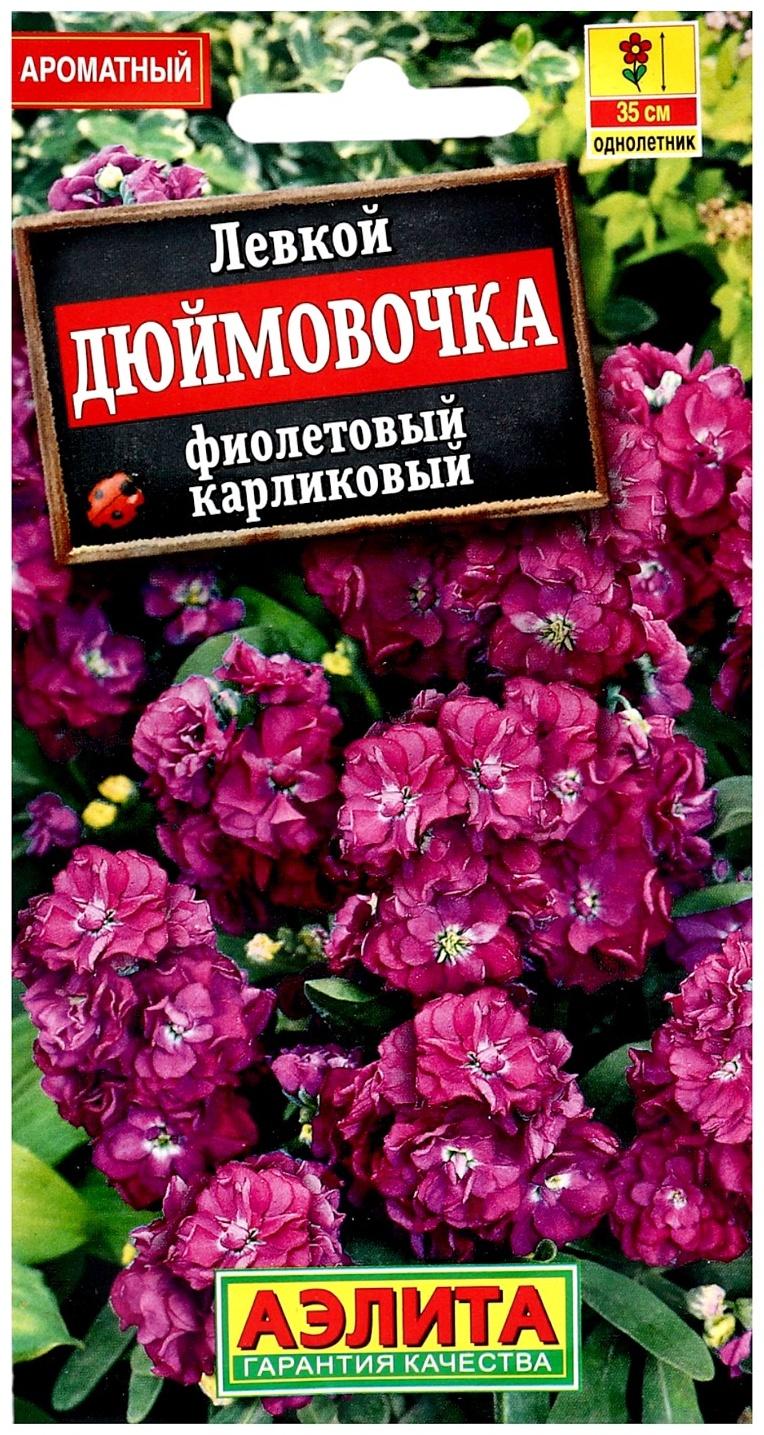 Семена цветов Левкой карликовый 