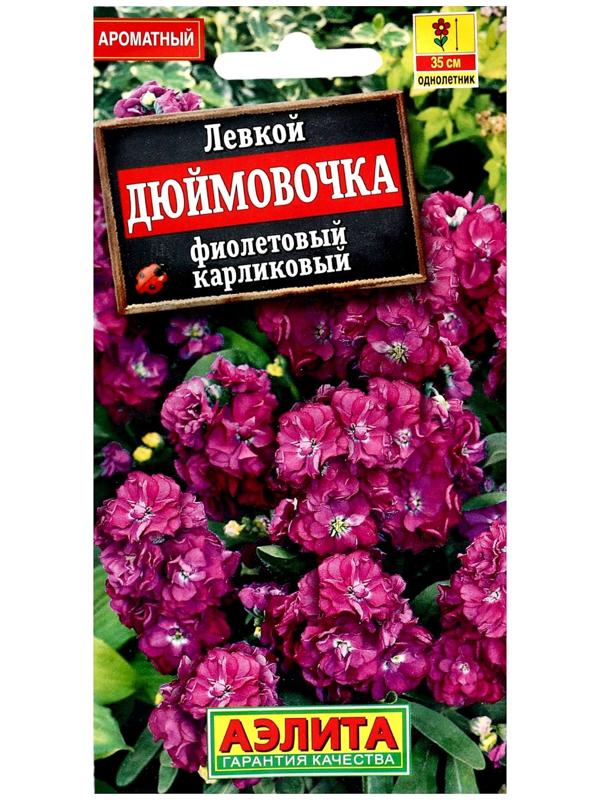 Семена цветов Левкой карликовый 