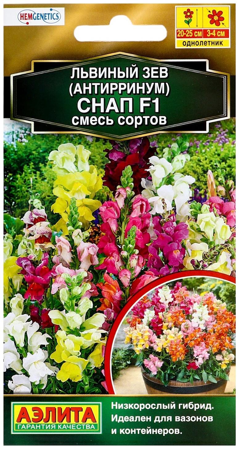 Семена цветов Львиный зев 