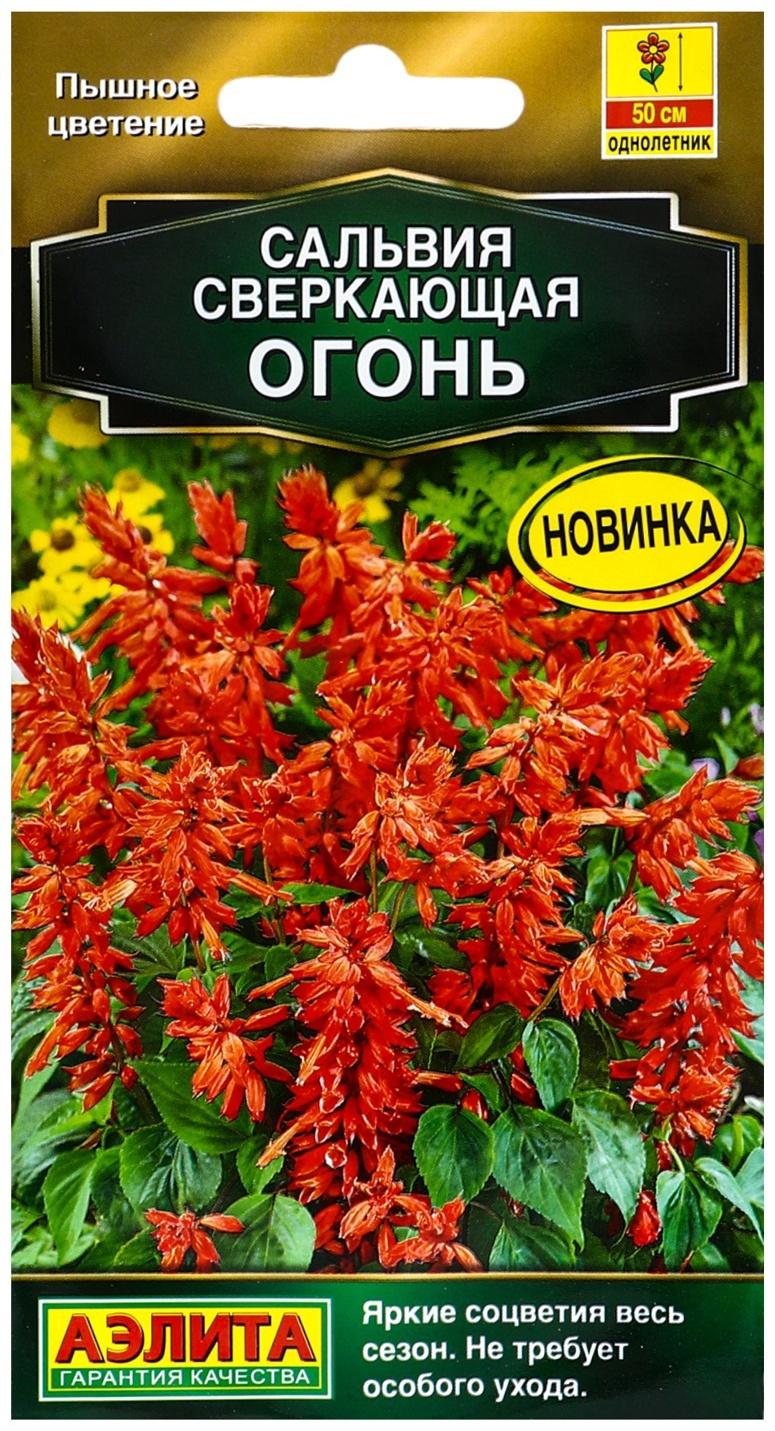 Семена цветов Сальвия сверкающая 