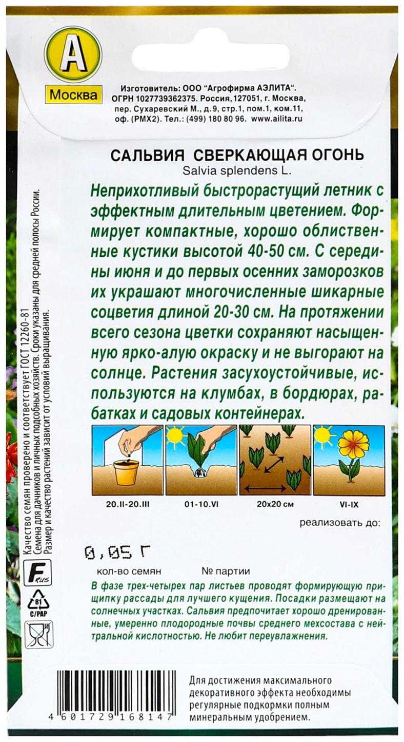 Семена цветов Сальвия сверкающая 