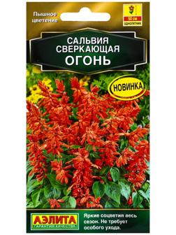 Семена цветов Сальвия сверкающая 