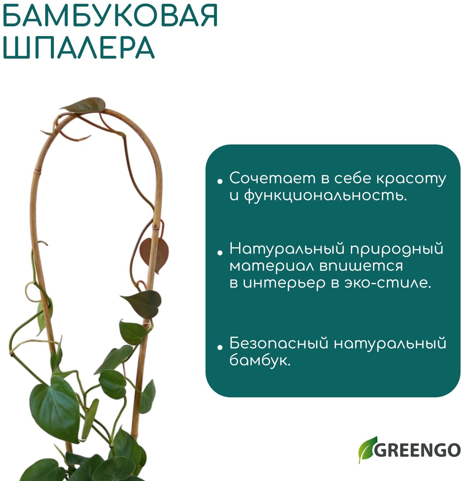 Дуга для подвязки растений, h=40 см, бамбук, Greengo