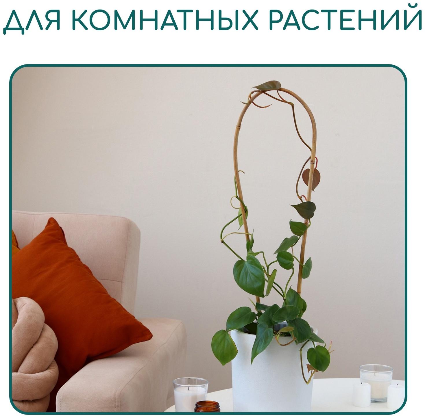 Дуга для подвязки растений, h=40 см, бамбук, Greengo