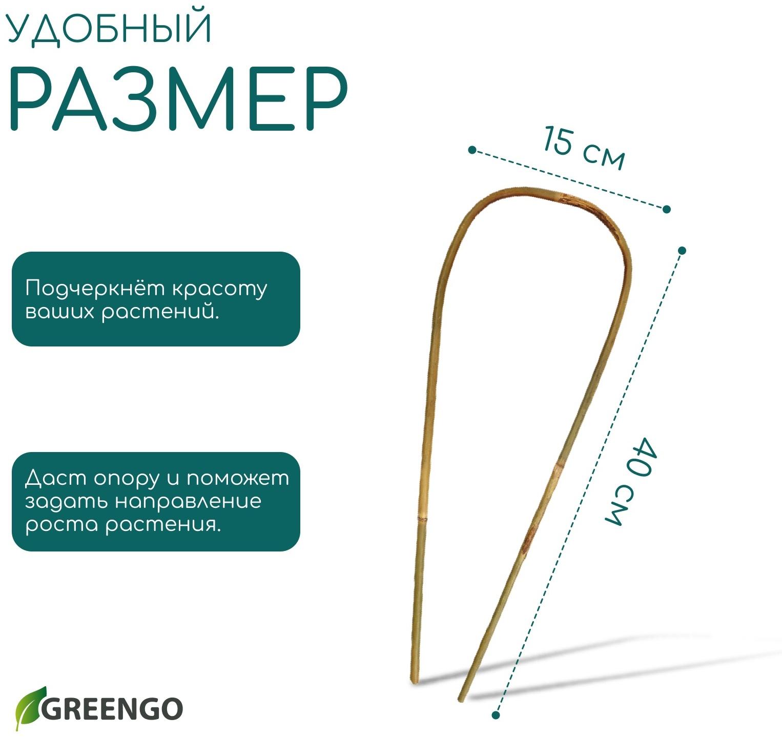Дуга для подвязки растений, h=40 см, бамбук, Greengo