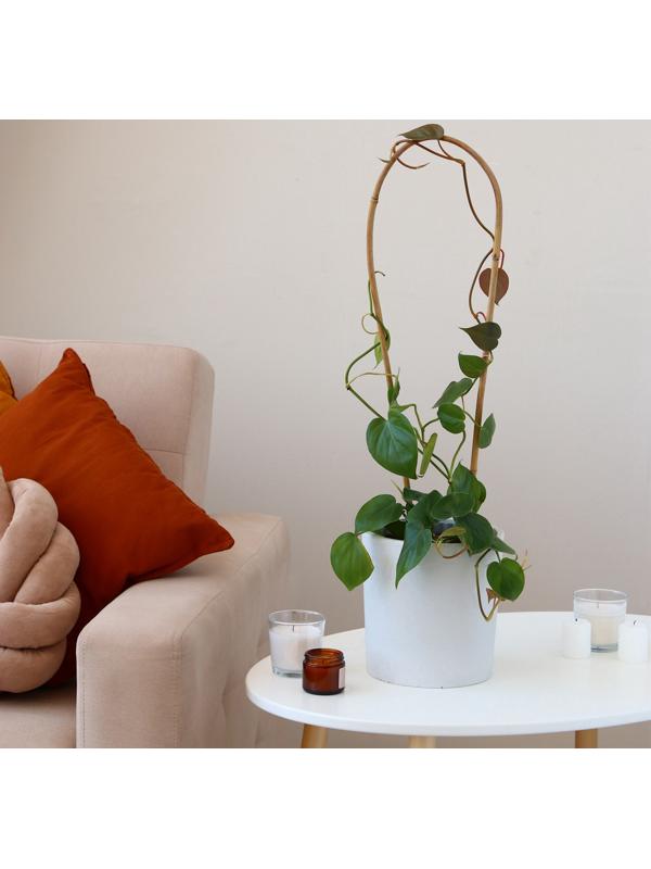 Дуга для подвязки растений, h=40 см, бамбук, Greengo