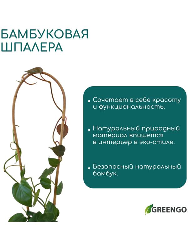Дуга для подвязки растений, h=40 см, бамбук, Greengo