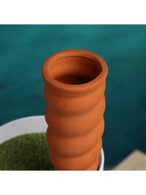 Ороситель «Спираль», 16.2×5 см, набор 4 шт.