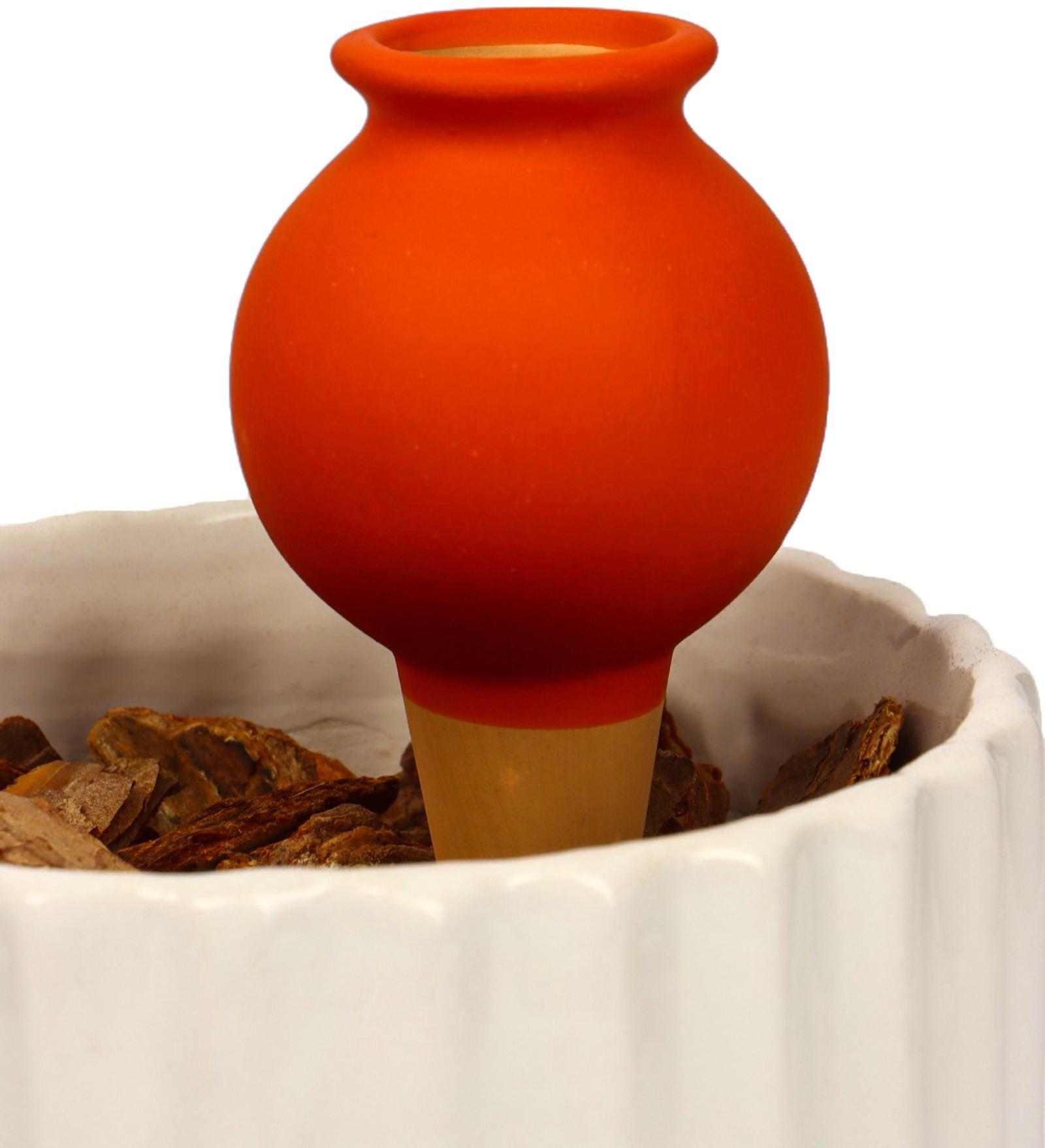 Ороситель «Кувшинчик», 11.5×6.5 см, цвет МИКС, набор 4 шт.