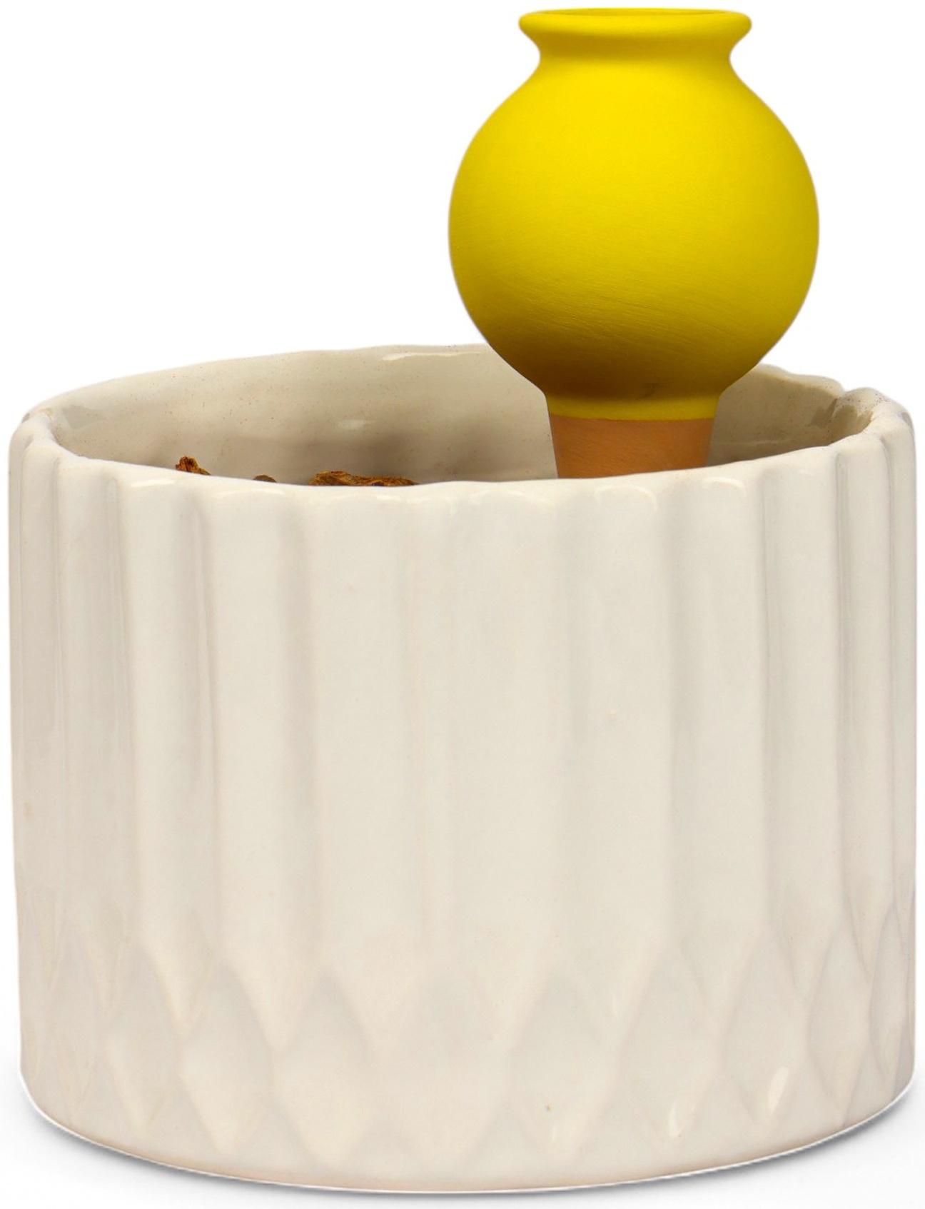 Ороситель «Кувшинчик», 11.5×6.5 см, цвет МИКС, набор 4 шт.