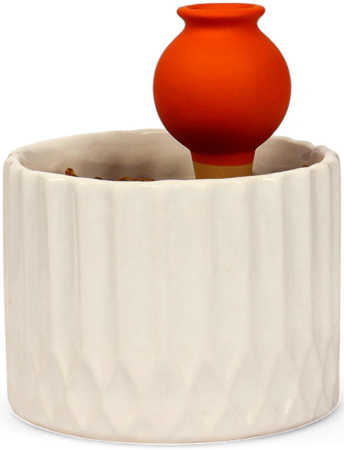 Ороситель «Кувшинчик», 11.5×6.5 см, цвет МИКС, набор 4 шт.