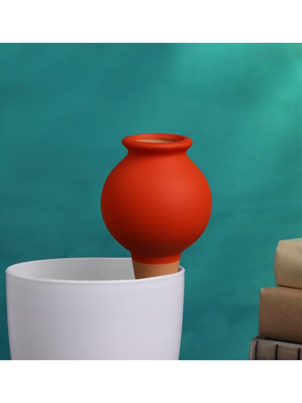 Ороситель «Кувшинчик», 11.5×6.5 см, цвет МИКС, набор 4 шт.