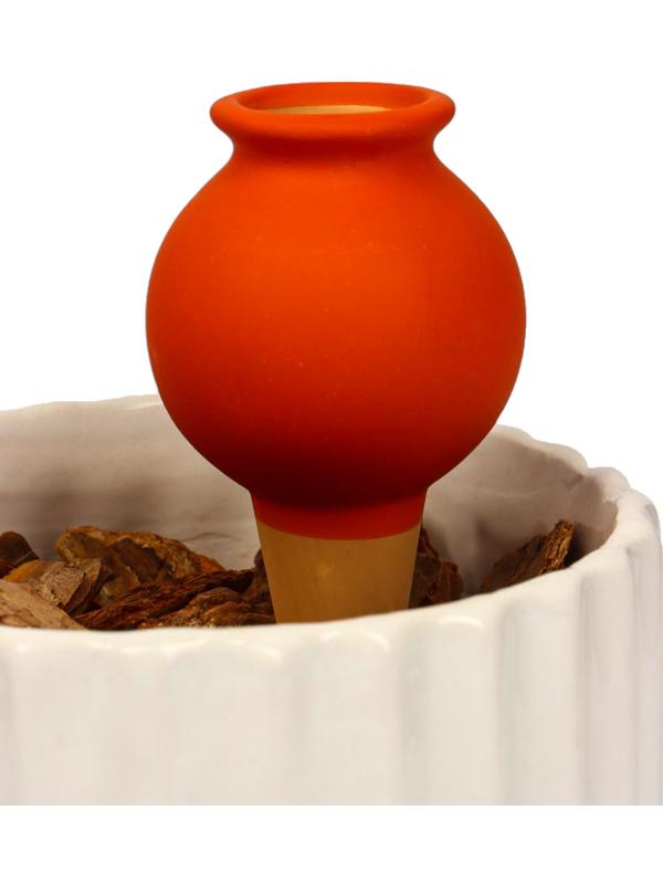 Ороситель «Кувшинчик», 11.5×6.5 см, цвет МИКС, набор 4 шт.