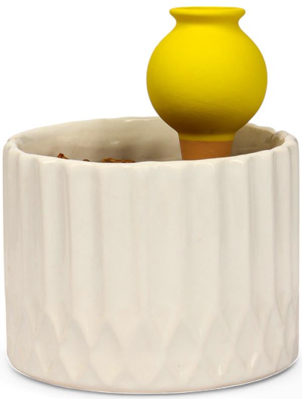 Ороситель «Кувшинчик», 11.5×6.5 см, цвет МИКС, набор 4 шт.