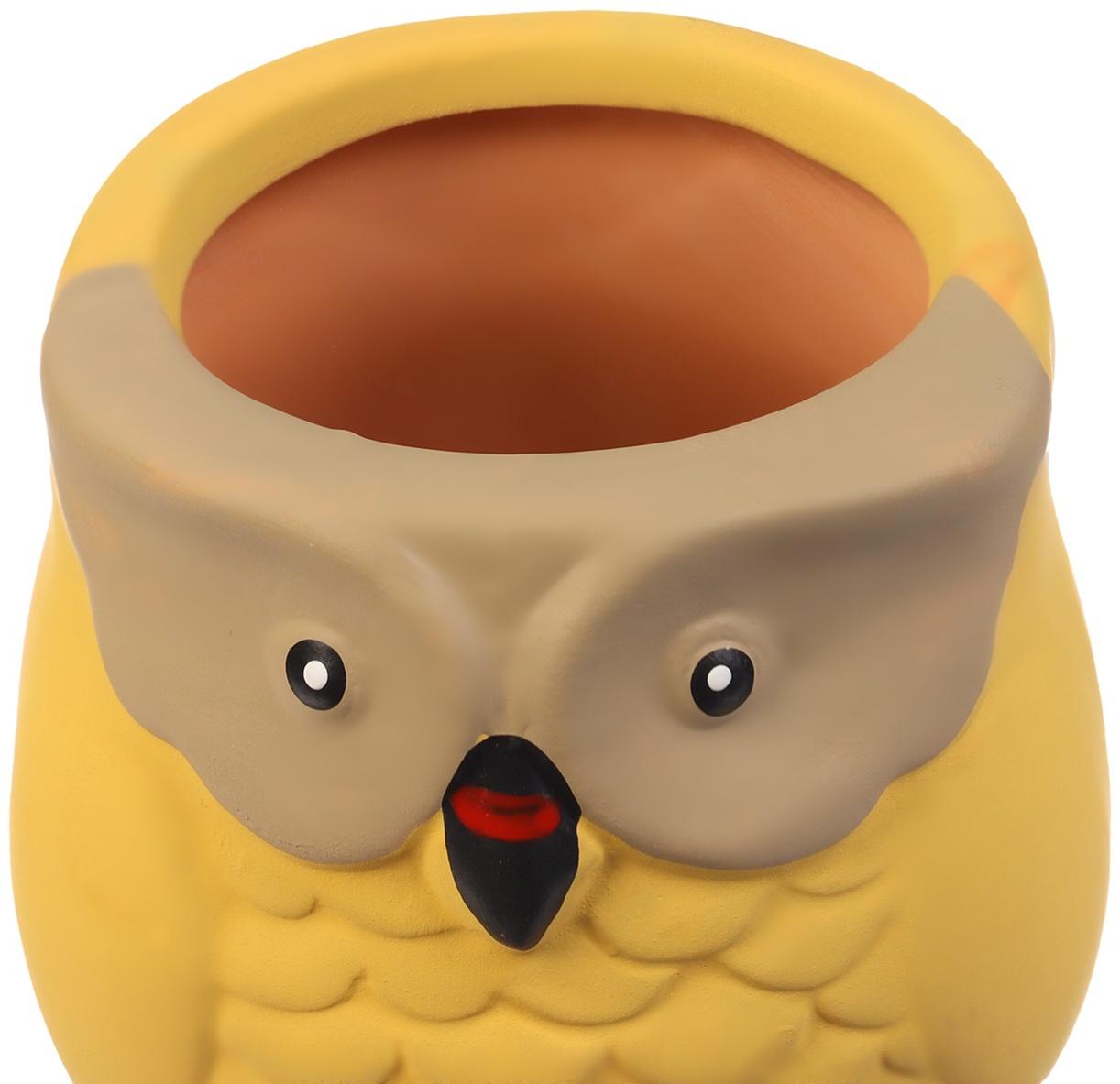 Ороситель «Совушка», 16×6 см, цвет МИКС, набор 4 шт.