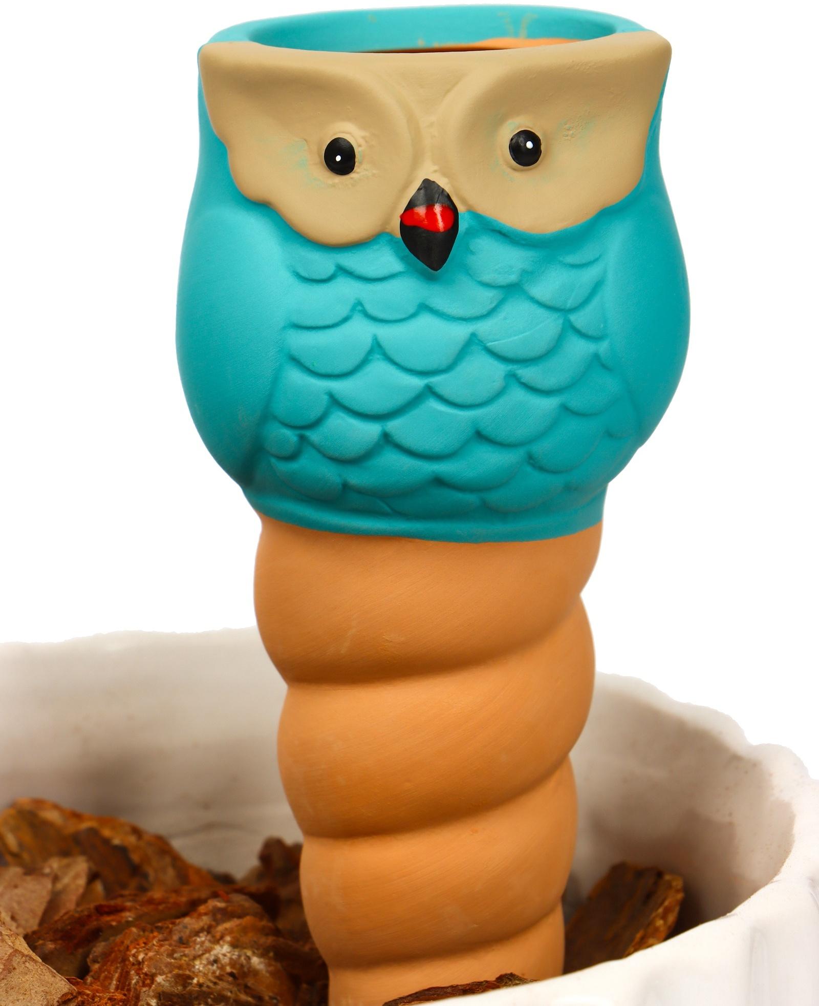 Ороситель «Совушка», 16×6 см, цвет МИКС, набор 4 шт.