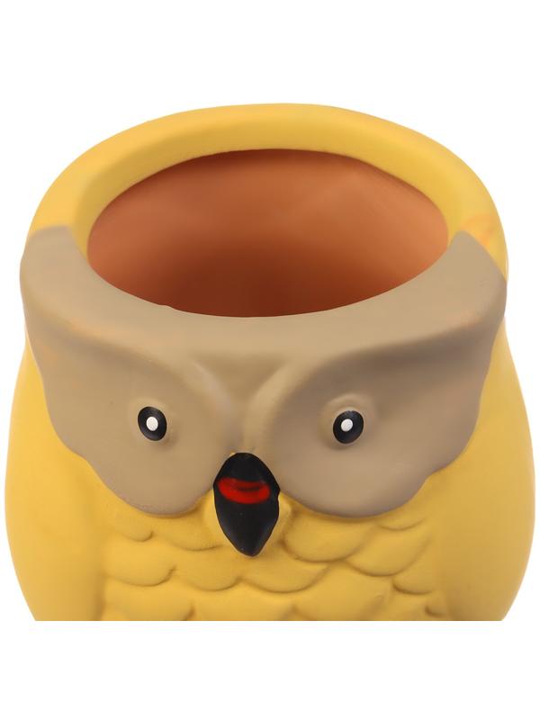 Ороситель «Совушка», 16×6 см, цвет МИКС, набор 4 шт.