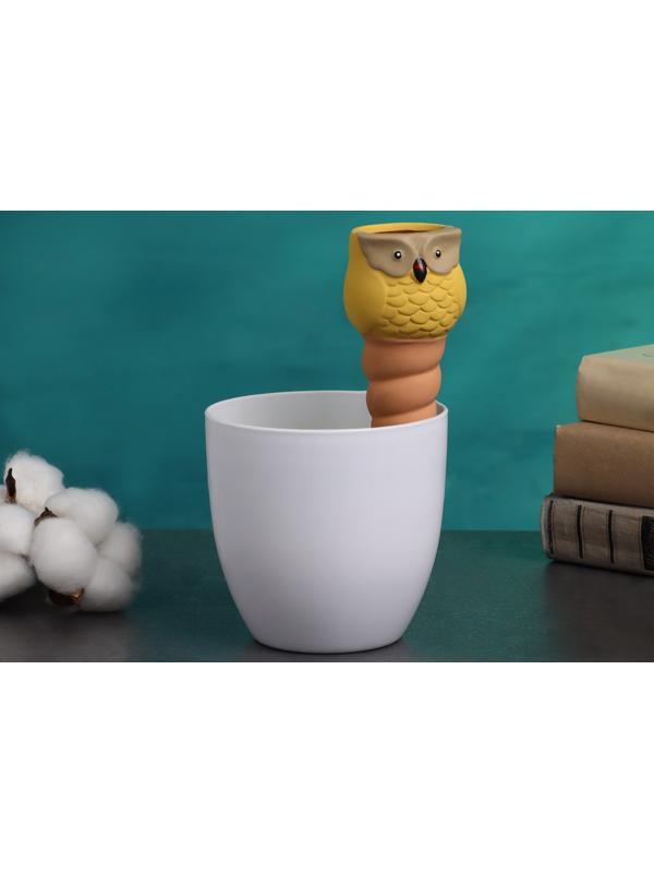 Ороситель «Совушка», 16×6 см, цвет МИКС, набор 4 шт.