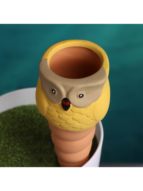 Ороситель «Совушка», 16×6 см, цвет МИКС, набор 4 шт.