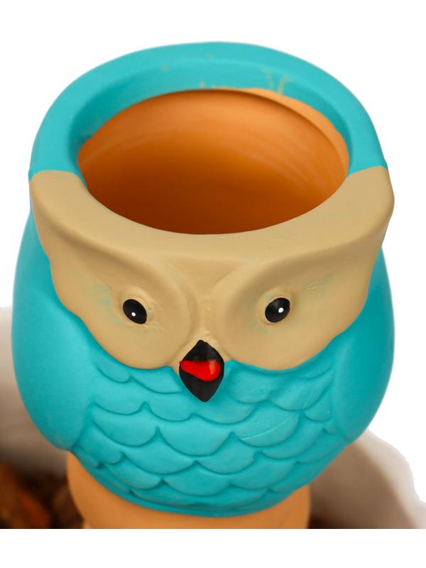 Ороситель «Совушка», 16×6 см, цвет МИКС, набор 4 шт.