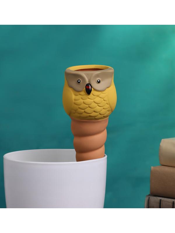 Ороситель «Совушка», 16×6 см, цвет МИКС, набор 4 шт.