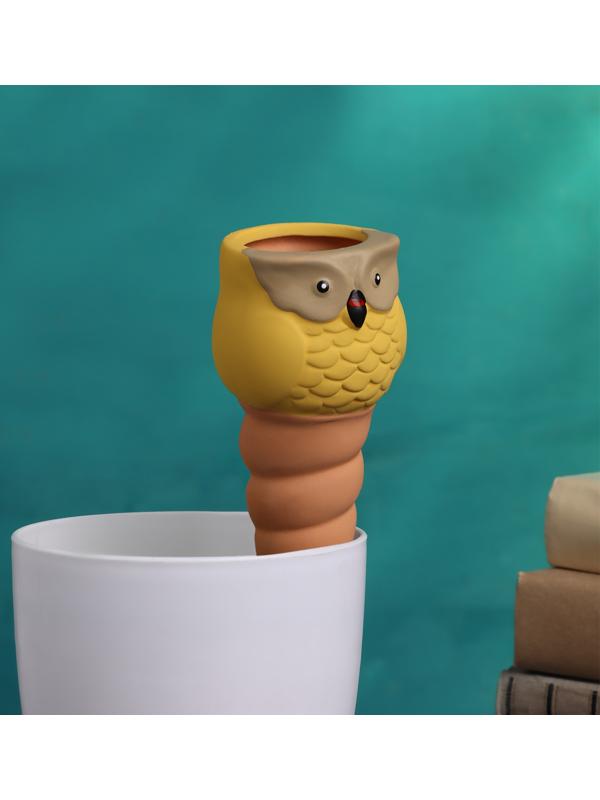 Ороситель «Совушка», 16×6 см, цвет МИКС, набор 4 шт.