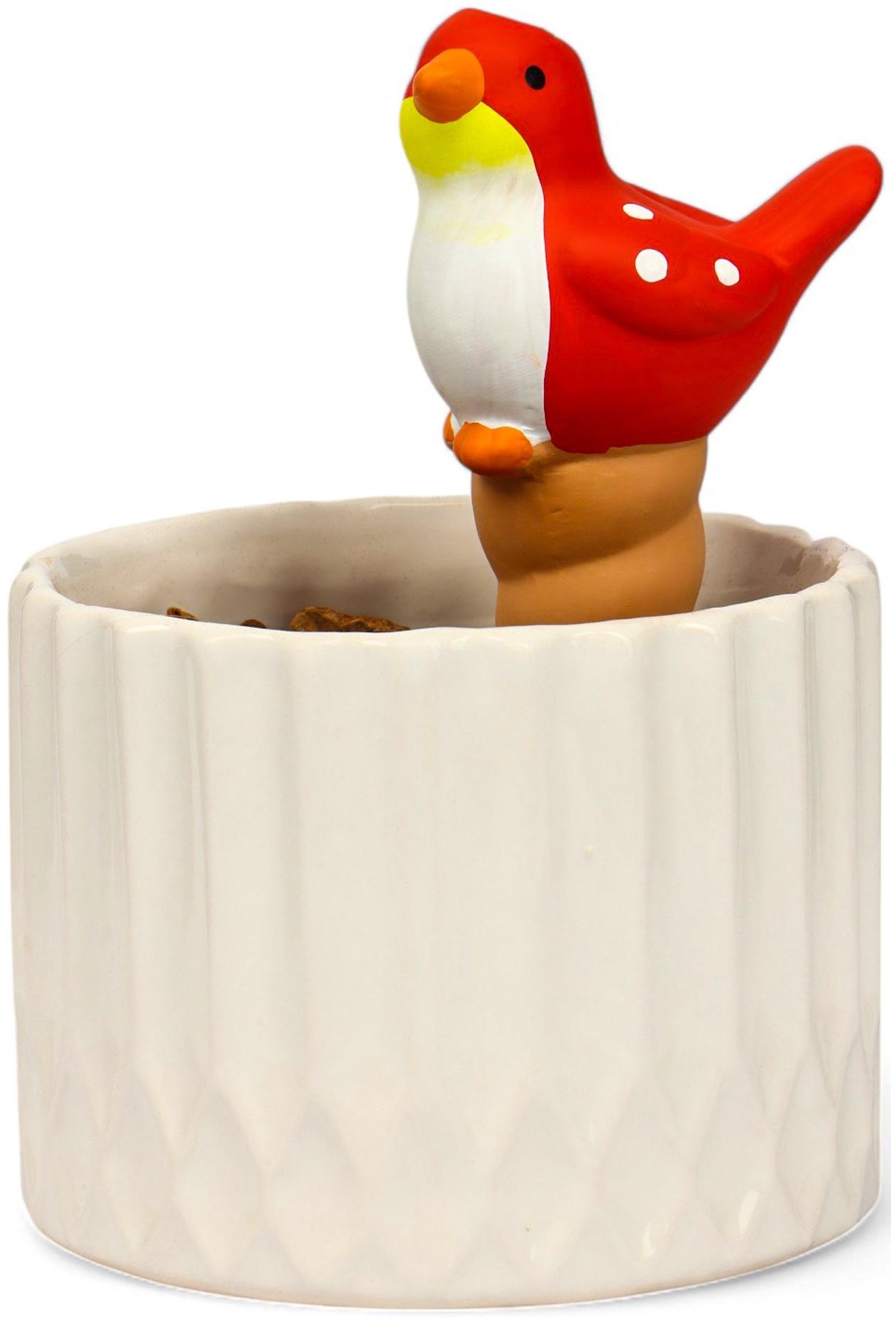 Ороситель «Птичка», 16.5×8.5 см, цвет МИКС, набор 4 шт.