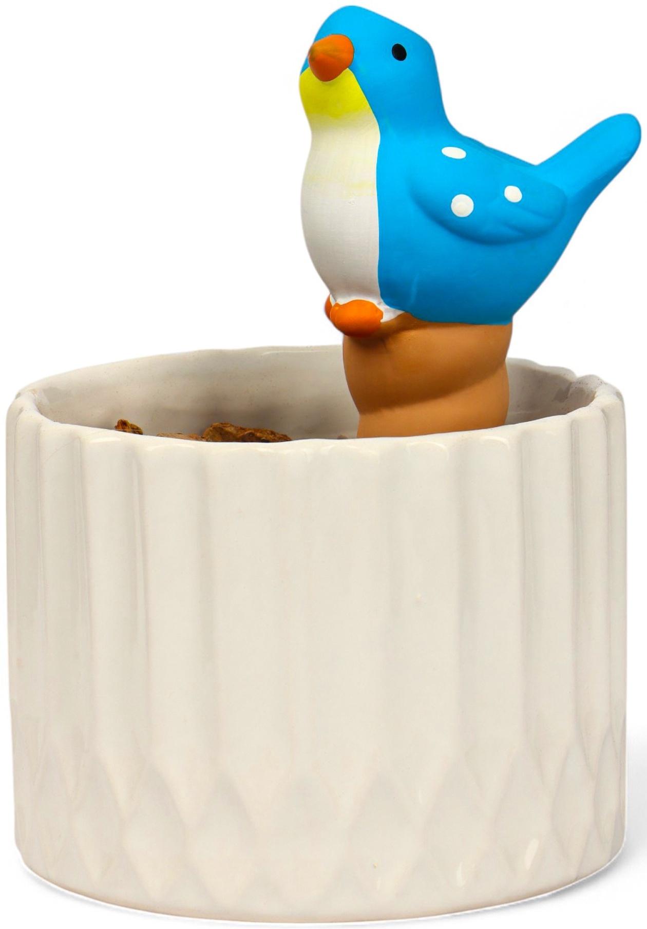 Ороситель «Птичка», 16.5×8.5 см, цвет МИКС, набор 4 шт.