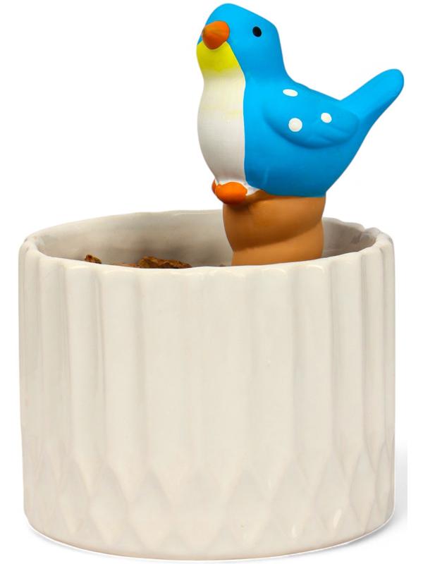 Ороситель «Птичка», 16.5×8.5 см, цвет МИКС, набор 4 шт.