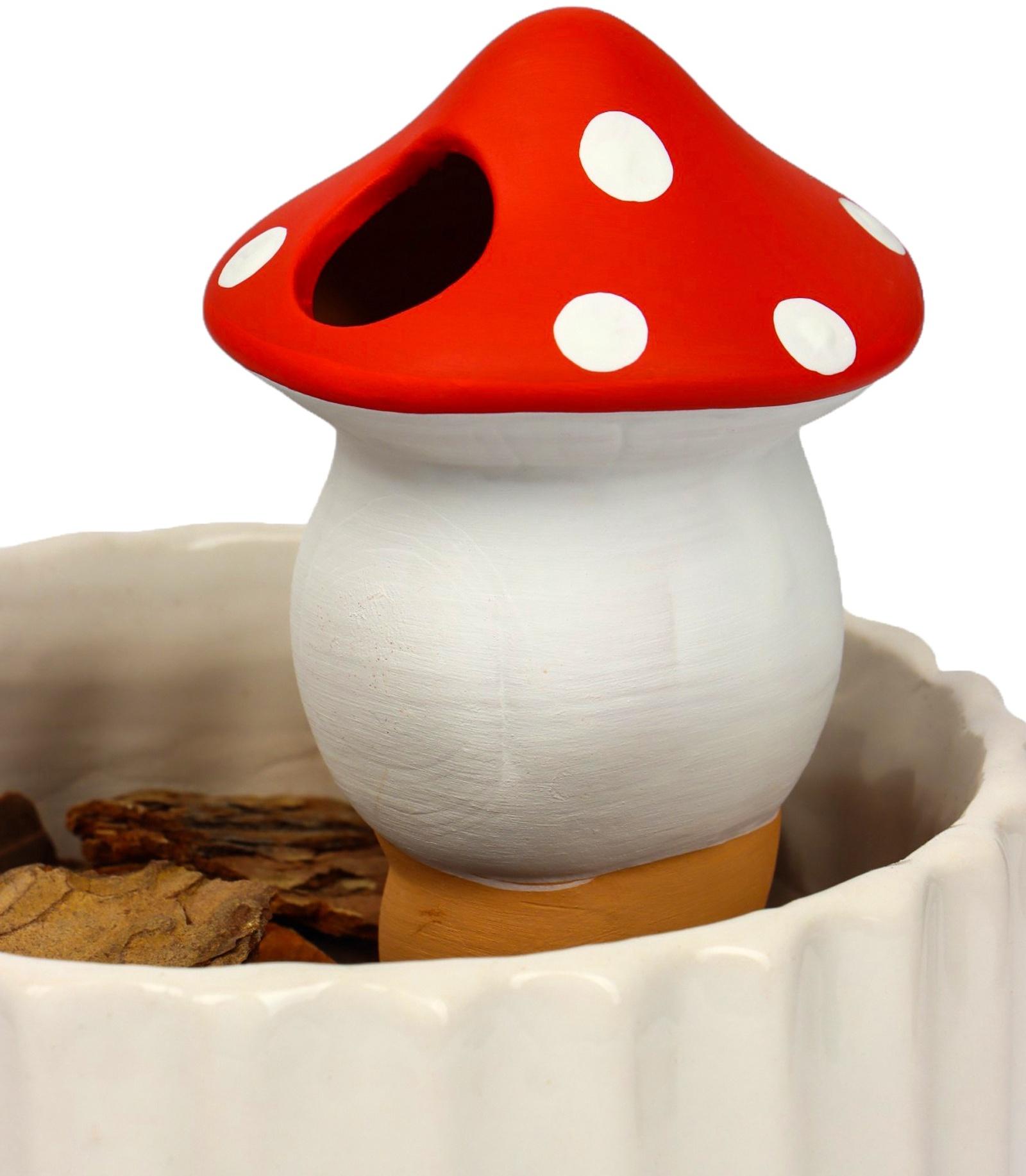 Ороситель «Грибочек», 16.5×7 см, цвет МИКС, набор 4 шт.