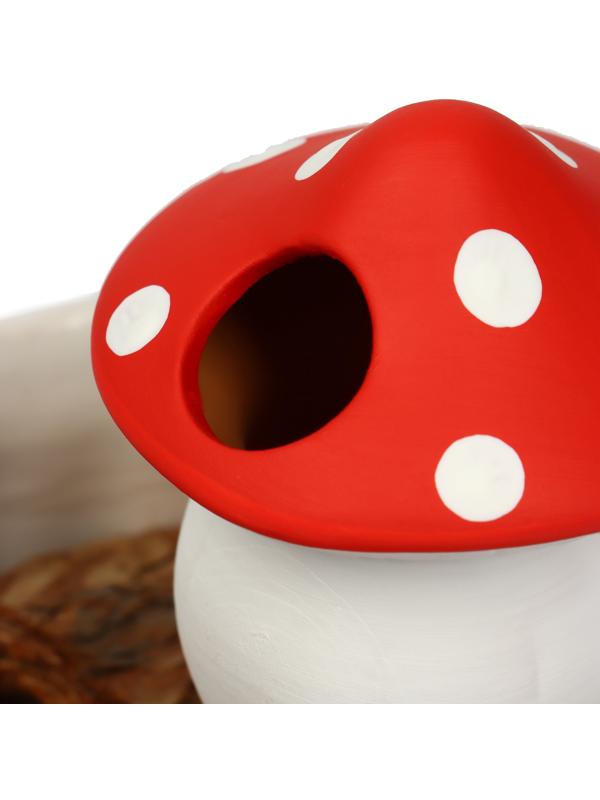 Ороситель «Грибочек», 16.5×7 см, цвет МИКС, набор 4 шт.