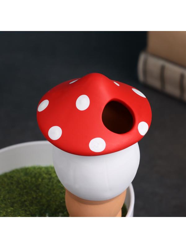 Ороситель «Грибочек», 16.5×7 см, цвет МИКС, набор 4 шт.