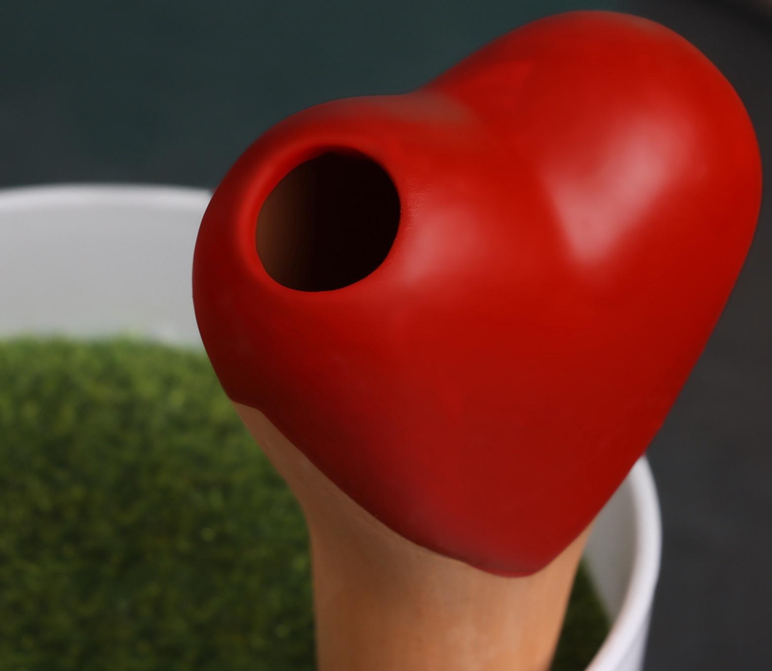 Ороситель «Сердечко», 14×4.6 см, цвет МИКС, набор 4 шт.