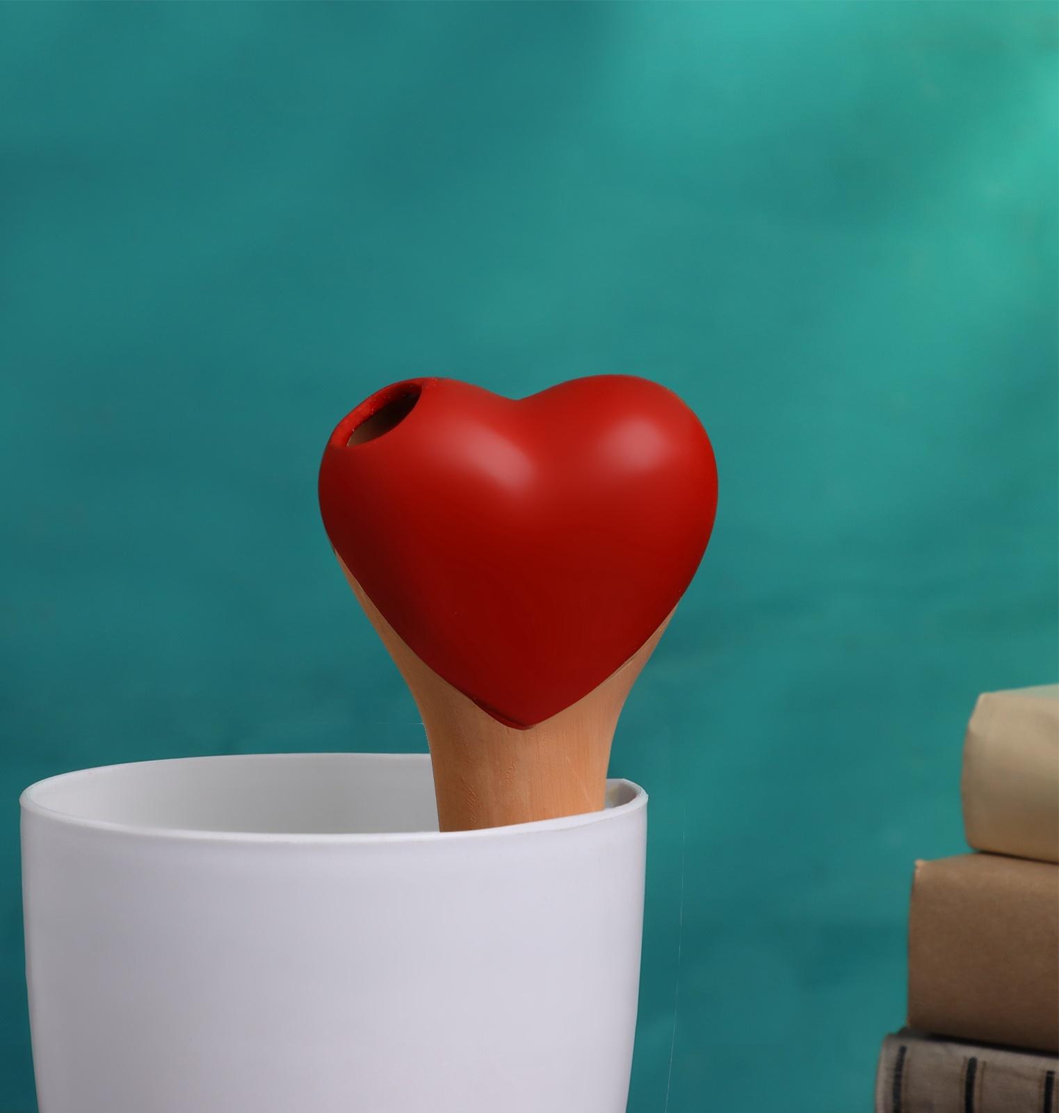 Ороситель «Сердечко», 14×4.6 см, цвет МИКС, набор 4 шт.