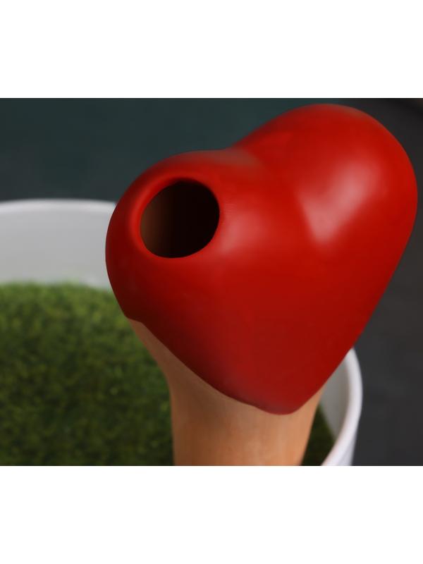 Ороситель «Сердечко», 14×4.6 см, цвет МИКС, набор 4 шт.