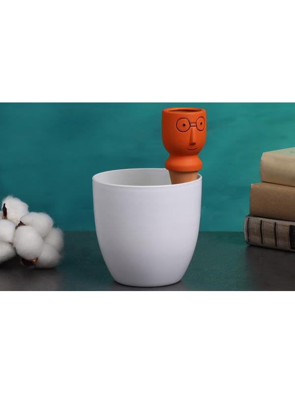 Ороситель «Который выжил», 14×4.6 см, цвет МИКС, набор 4 шт.