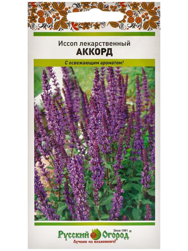 Иссоп лекарственный Аккорд (0,5г)