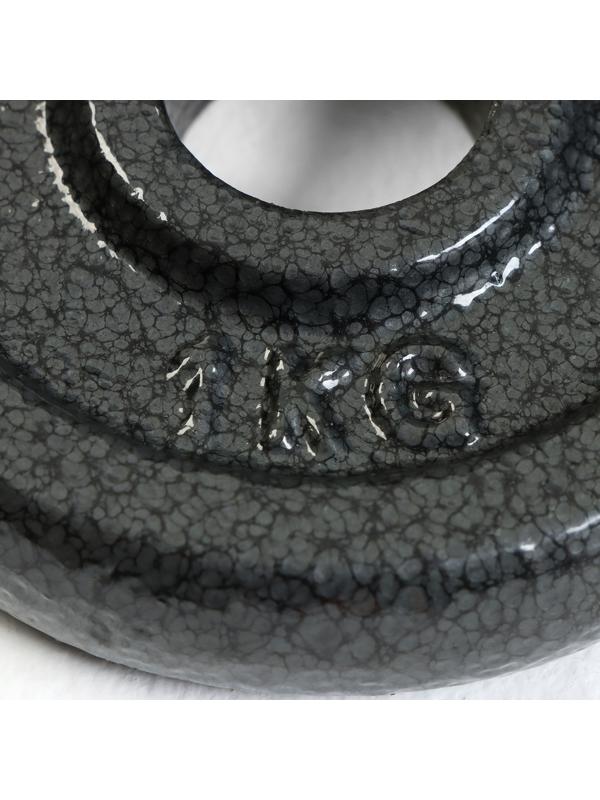 Диск  1 кг, d=29 мм