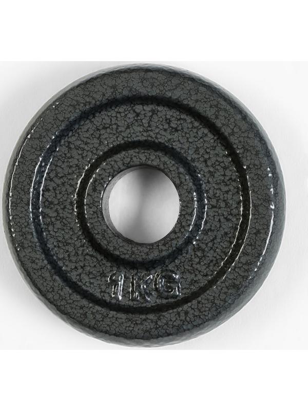 Диск  1 кг, d=29 мм