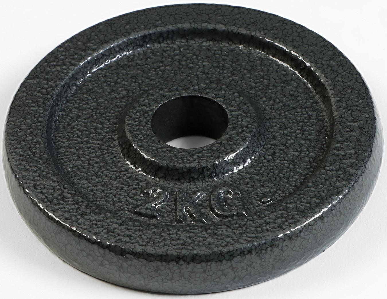 Диск  2 кг, d=29 мм