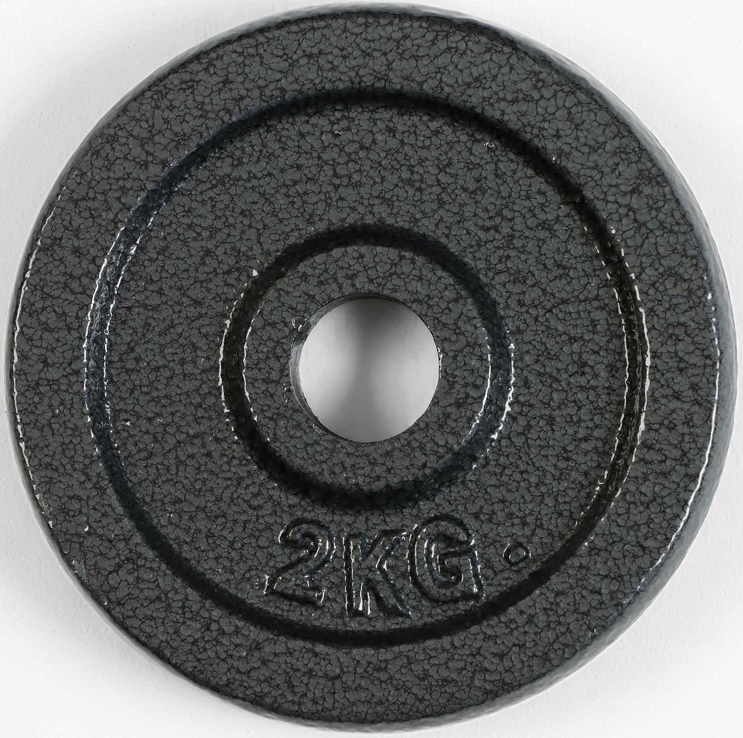 Диск  2 кг, d=29 мм