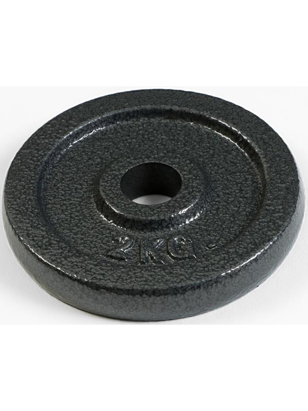 Диск  2 кг, d=29 мм