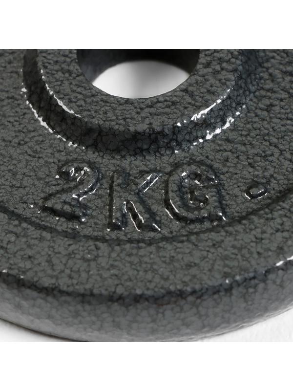 Диск  2 кг, d=29 мм